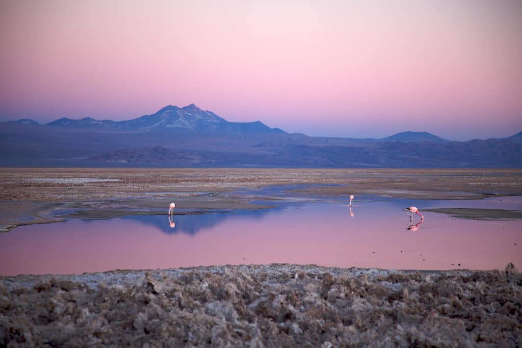 chile em outubro atacama nicolasdecamaret flickrCC